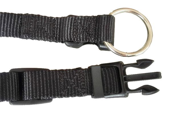 Sport kutya nyakörv Sport Dog Collar